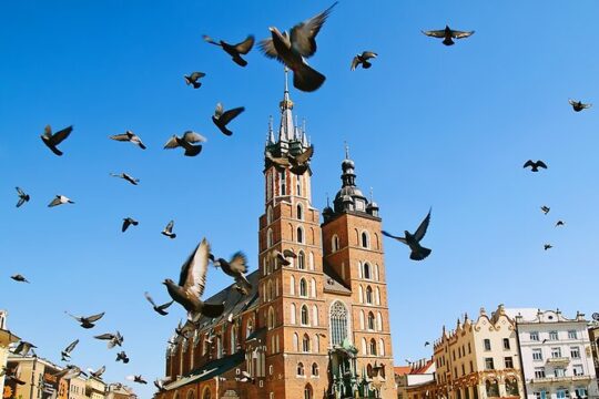 Krakow Old Town Private Walking Tour