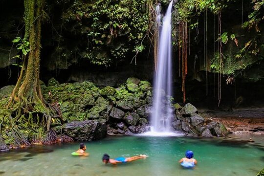 Skip the Line: Admission Ticket to Emerald Pool Nature Trail