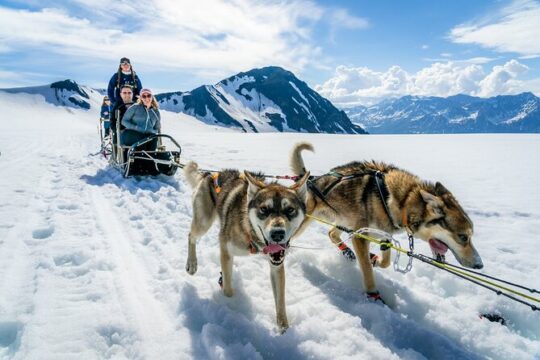 Alaska Helicopter and Glacier Dogsled Tour from Seward