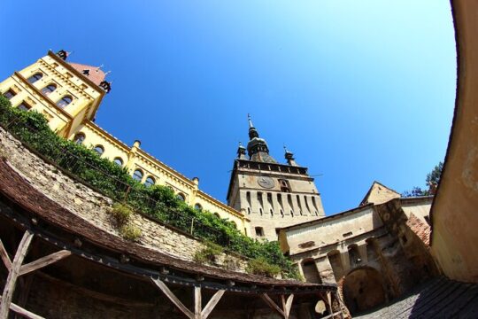 Medieval Sighisoara & Viscri with horse cart & traditional lunch from Brasov