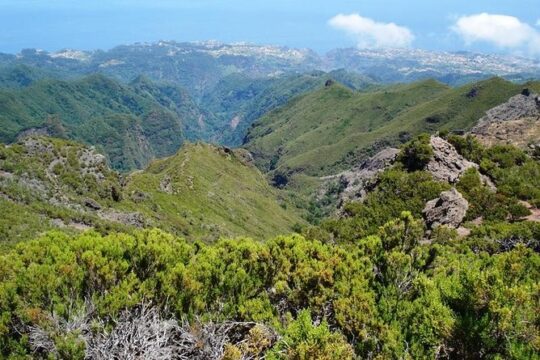 Private Walk Achadas Teixeira - Pico Ruivo Half-day