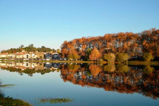 From Porto: Viana Castelo and Ponte Lima Private Tour