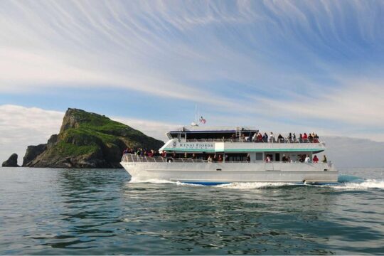 Spring Resurrection Bay Tour