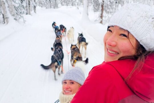 Adventure Awaits Dog Sledding on Stunning Alaskan Trails