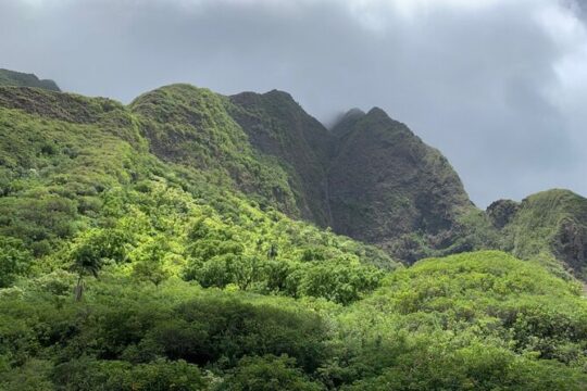 Explore Maui Private Tour