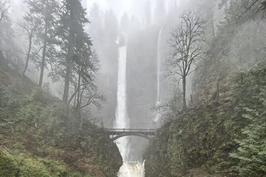 Multnomah Falls Tour with VIP Shuttle