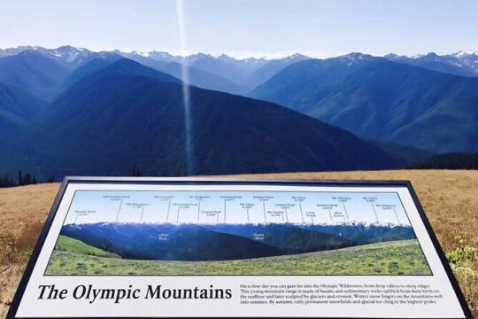 Small Group Olympic National Park Day Tour from Seattle