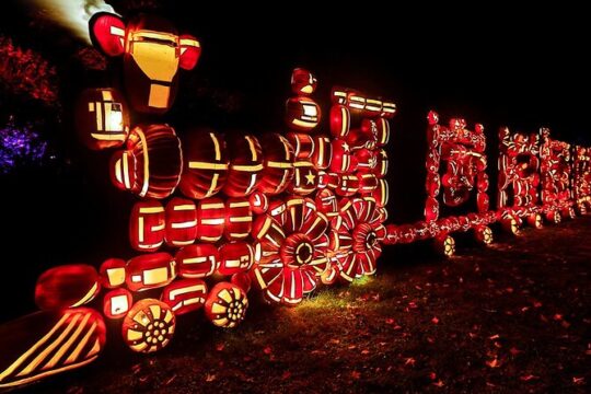 The Great Jack O'lantern Blaze Night Tour from New York