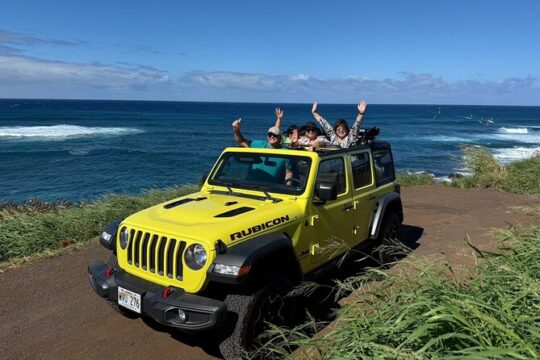 Private Road Tour to Hana Open Air Jeep