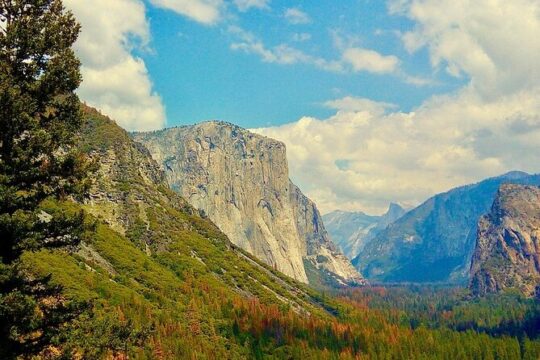 Private Day Tour to Yosemite National Park