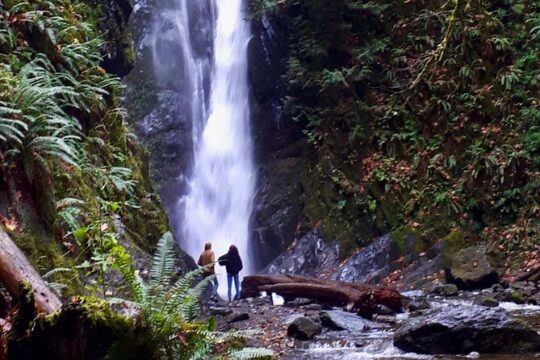 Enchanted Southern Vancouver Island Day Trip – Private Tour