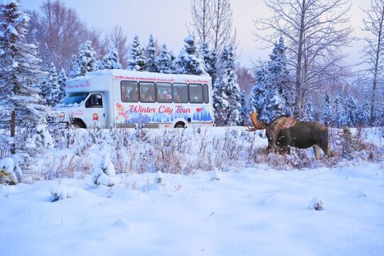 Exploring Anchorage on Winter Sundays