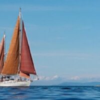 Cruises, Sailing & Water Tours