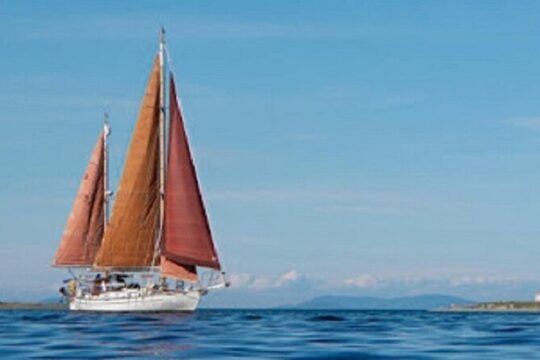 Sailing Charter