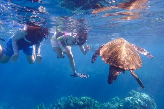 Turtle Town Beach Snorkel (11:am-1pm)