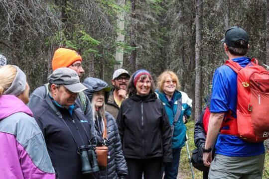 Denali Nature Hike