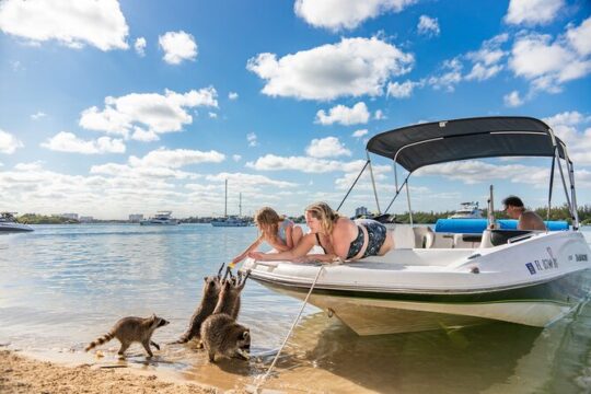 Raccoon Island in a Private Boat Tour