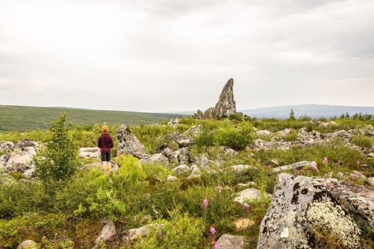 Private Tour Arctic Circle Expedition from Fairbanks