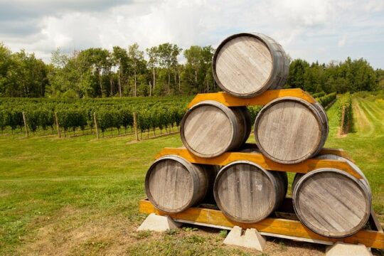 Full Day Private Nova Scotia Wine Tour from Halifax