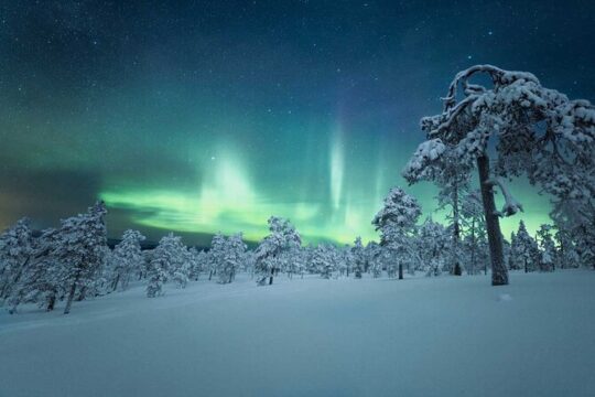 5-Day Aurora Viewing Tour from Whitehorse, Canada