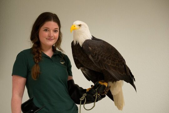 Raptor Encounters and Immersive Dome Experience