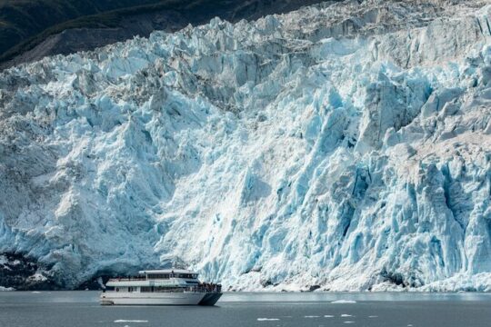 Captain's Choice Kenai Fjords National Park Cruise from Seward