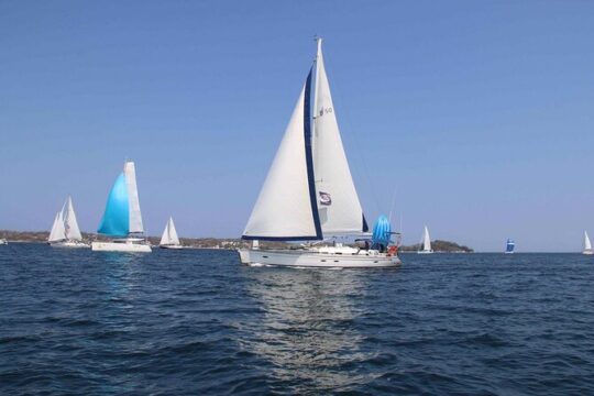 Day Sailing Adventure in the Florida Marine Sanctuary