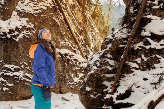 Maligne Valley and Pleckaitis Icewalk