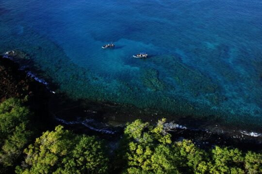 The Best 4 hour inclusive Kanaio Sea Caves and La Perouse Snorkel