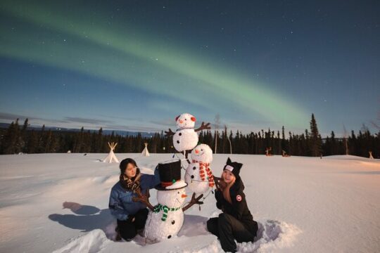 Dancing Lights in the Sky on an Aurora RV Tour Adventure