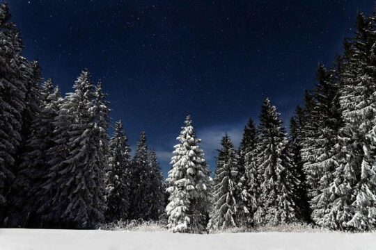 Moonlight Snowshoe