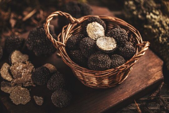 Truffle Forage and Feast