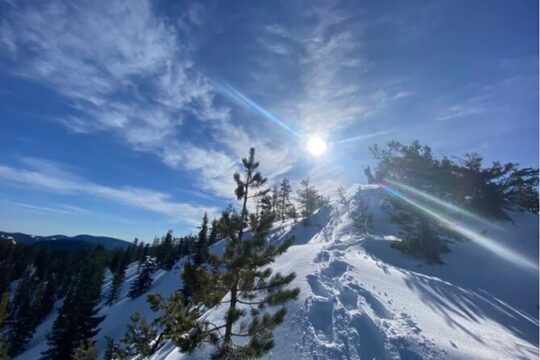 Tom Dick and Harry Snowshoe Hike